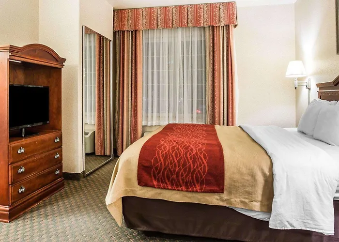Comfort Inn & Suites Galt - Lodi North