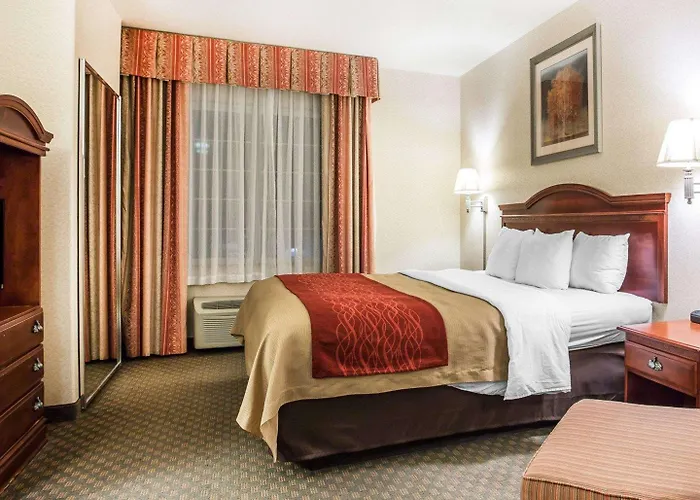 Comfort Inn & Suites Galt - Lodi North