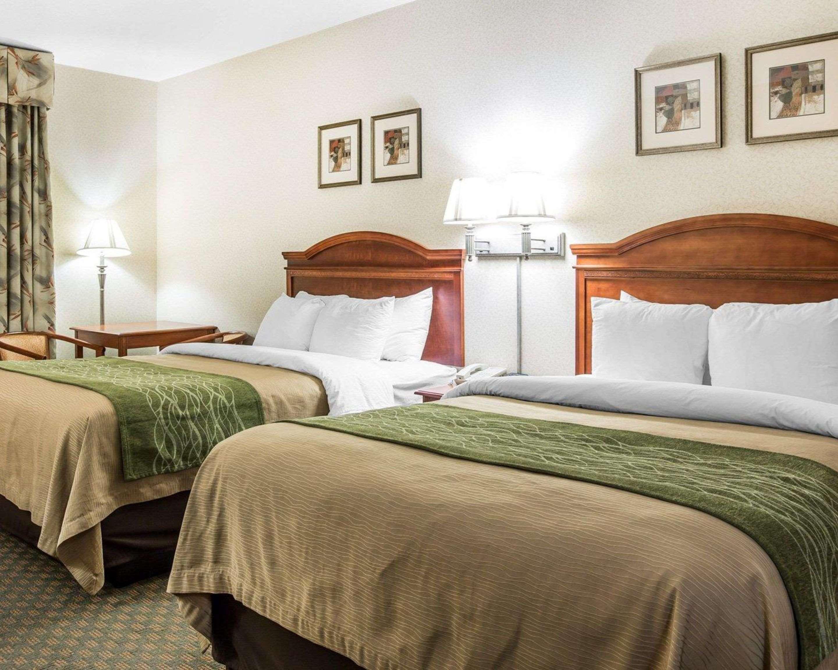 Comfort & - Lodi North